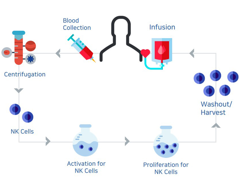 Manufacturing process of NK cell therapeutic agent